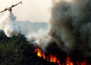L&rsquo;Alg&eacute;rie envoie des canadairs pour aider la Tunisie &agrave; ma&icirc;triser les incendies