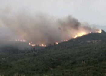 Six personnes impliqu&eacute;es dans les incendies &agrave; Jendouba