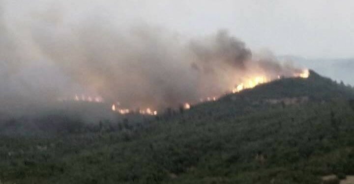 Six personnes impliquées dans les incendies à Jendouba