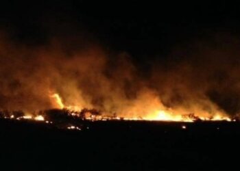 Bizerte : Arrestation d'un takfiriste soup&ccedil;onn&eacute; d'avoir d&eacute;clench&eacute; un incendie