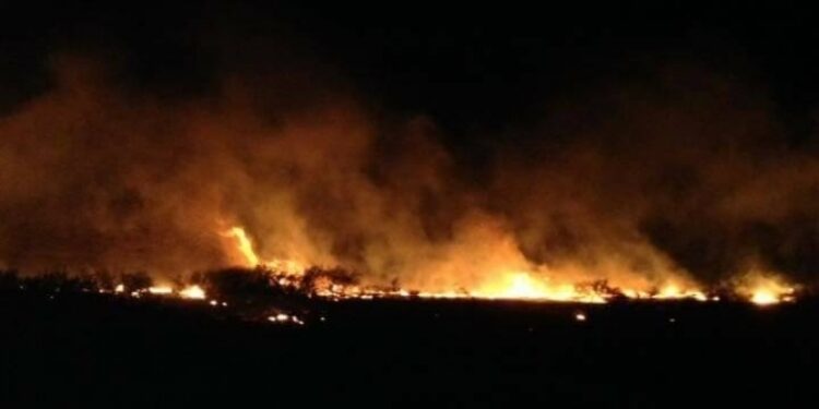 Le site archéologique de Bulla Regia touché par un incendie