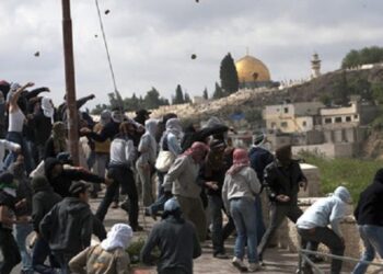 La Tunisie appelle à assurer la protection au peuple palestinien