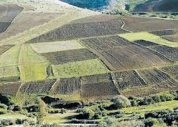 Tunisie : Plus de 17.000 hectares de terrains domaniaux r&eacute;cup&eacute;r&eacute;s par l&rsquo;Etat