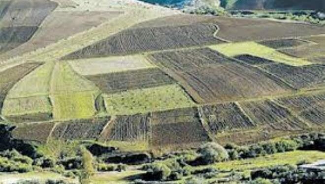 Tunisie : Plus de 17.000 hectares de terrains domaniaux récupérés par l’Etat