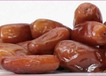 Tunisie : Hausse de 20% des revenus des exportations de dattes