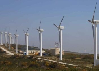 Les Allemands s&rsquo;int&eacute;ressent &agrave; l&rsquo;&eacute;nergie &eacute;olienne en Tunisie