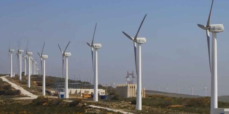 Les Allemands s’intéressent à l’énergie éolienne en Tunisie