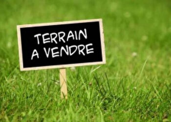 En Tunisie, les prix des terrains ont &eacute;t&eacute; multipli&eacute;s par 20 ces derni&egrave;res ann&eacute;es