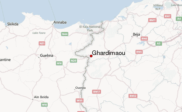 Algérie : Un Tunisien tué après avoir refusé d’obtempérer à une sommation