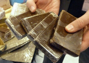 Tunisie : Saisies record de drogue