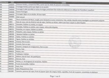 Tunisie : Liste des 220 produits de consommation import&eacute;s jug&eacute;s non-essentiels