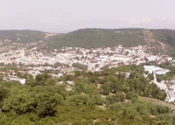 Du Col des Ruines au Col des Vents : Les beautés subtiles de Ain Draham