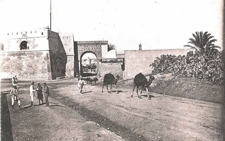 Portes oubliées de Tunis : Entre Sidi Abdallah et Sidi Kacem
