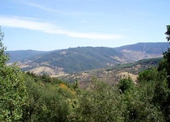 Tunisie : Trois soldats bless&eacute;s par deux explosions de mines &agrave; Jebel Chaambi