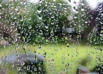 Dérives et décadence : Les inaptocrates font des ravages