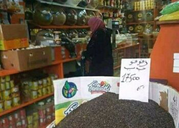 Prix du zgougou en baisse : Quand le Tunisien se d&eacute;cide &agrave; boycotter !