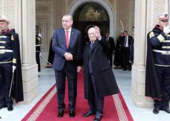 Les quatre doigts d'Erdogan "discr&eacute;dit&eacute;s" par B&eacute;ji Ca&iuml;d Essebsi