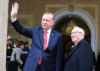 Un responsable s&eacute;curitaire &eacute;mirati critique l'attitude d'Erdogan &agrave; Tunis
