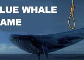 L'ANSI met en garde contre le jeu "Blue Whale"