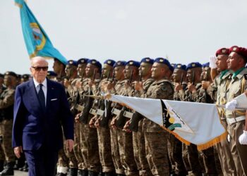 Caid Essebsi : "Mon &acirc;ge ne plait pas en Tunisie"