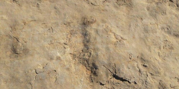 Des traces de dinosaures herbivores d&eacute;couvertes &agrave; Tataouine