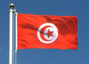 Une cellule de suivi cr&eacute;&eacute;e au sein du Consulat de Tunisie &agrave; Duba&iuml;