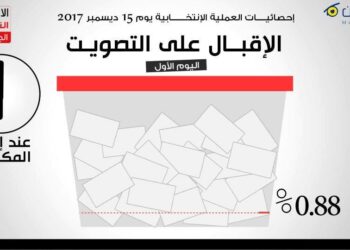 L&eacute;gislatives partielles d'Allemagne : Un taux de participation de 0,88% !