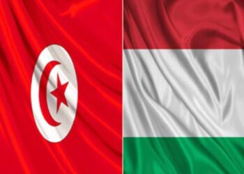 La Hongrie offre 150 bourses aux &eacute;tudiants tunisiens