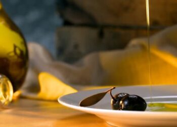 Tunisie : Pour cette saison, 95% de l&rsquo;huile d&rsquo;olive produite sera de haute qualit&eacute;