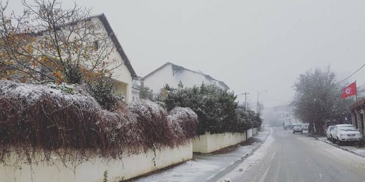 Ain Draham : Les premières neiges sont tombées…