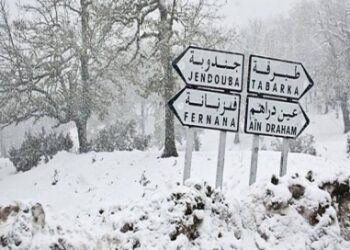 Premiers flocons de neige &agrave; Jendouba !