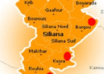Siliana : Mandat de d&eacute;p&ocirc;t &agrave; l'encontre du chef d'un poste de police