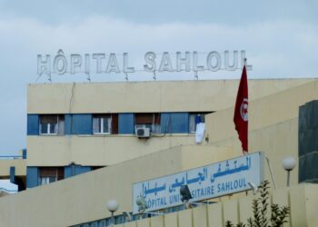 Virus H1N1 : Deuxi&egrave;me cas de d&eacute;c&egrave;s &agrave; Sousse