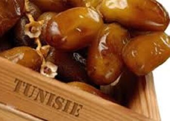 Le Maroc reste le premier importateur de dattes tunisiennes