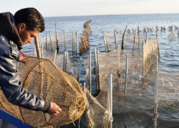 Aide japonaise &agrave; la Tunisie en mati&egrave;re de valorisation des produits de la p&ecirc;che