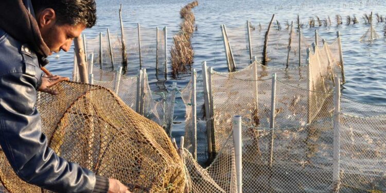 Aide japonaise à la Tunisie en matière de valorisation des produits de la pêche