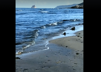 Les plages de Raf Raf, Sounine et Ras Djebal menac&eacute;es par les eaux us&eacute;es