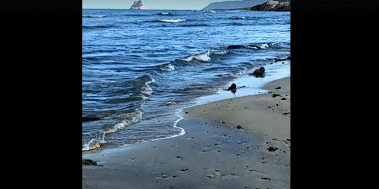 Les plages de Raf Raf, Sounine et Ras Djebal menacées par les eaux usées