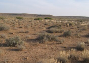 M&eacute;denine : Le parc national Sidi Toui ferm&eacute; &agrave; cause de certains "visiteurs"