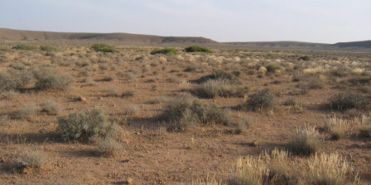 Médenine : Le parc national Sidi Toui fermé à cause de certains "visiteurs"