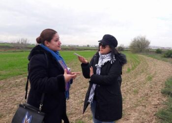 Radio : Quand RTCI réinvente le reportage