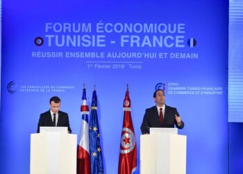 Migration des comp&eacute;tences fran&ccedil;aises vers l'Afrique via la Tunisie