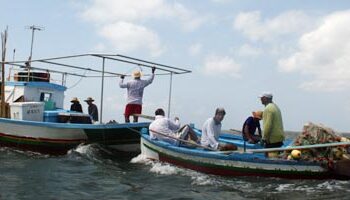 De meilleures conditions pour les marins-p&ecirc;cheurs de Kerkennah