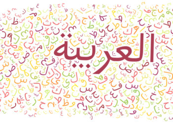 Ma langue maternelle, c'est le tunisien et l'arabe, ma langue paternelle !