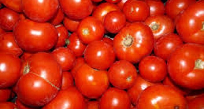 Tunisie : Les tomates et les piments &agrave; des prix abordables ?!