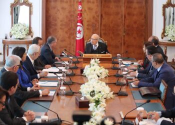 Les signataires du Document de Carthage se r&eacute;unissent pour remettre de l'ordre dans la maison