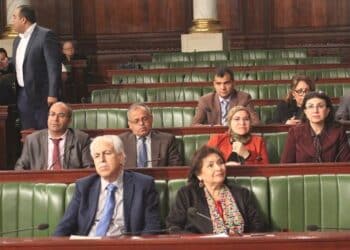 Sihem Ben Sedrine demande un "sursis" de 6 mois pour l'IVD