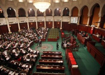 Des d&eacute;put&eacute;s de l&rsquo;ANC menacent de demander l&rsquo;asile en Europe