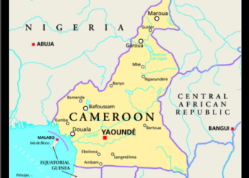 Deux Tunisiens kidnapp&eacute;s au Cameroun