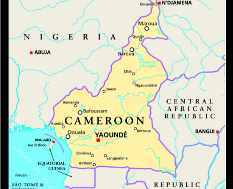 Deux Tunisiens kidnappés au Cameroun